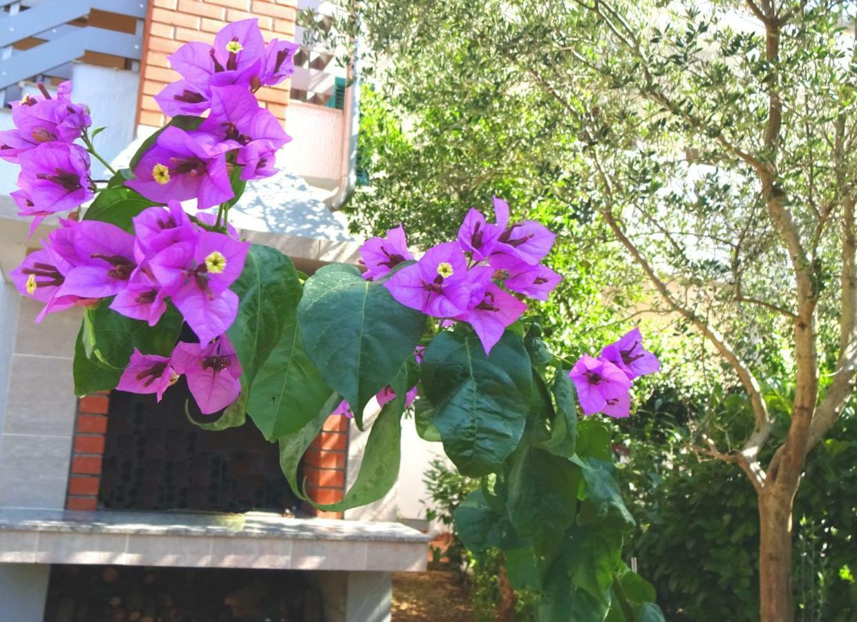 Apartmán Lily *